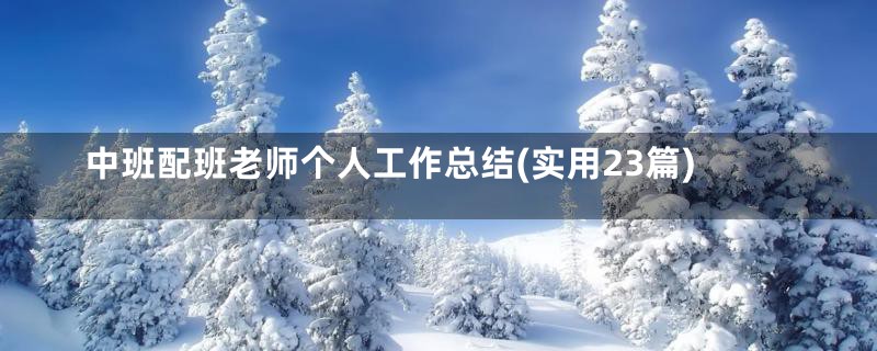 中班配班老师个人工作总结(实用23篇)