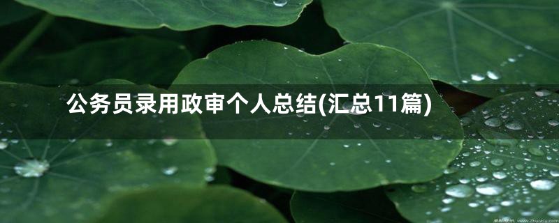 公务员录用政审个人总结(汇总11篇)