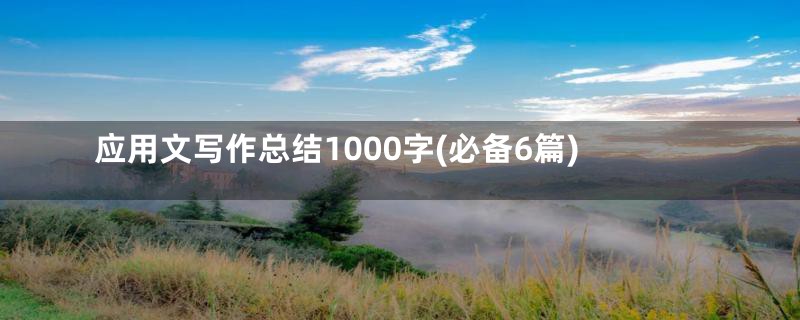 应用文写作总结1000字(必备6篇)