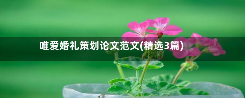 唯爱婚礼策划论文范文(精选3篇)