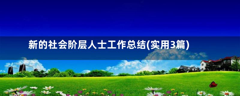 新的社会阶层人士工作总结(实用3篇)