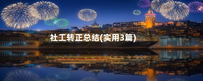 社工转正总结(实用3篇)