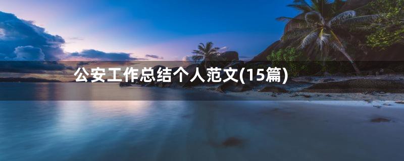 公安工作总结个人范文(15篇)