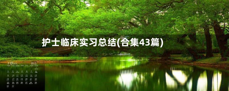 护士临床实习总结(合集43篇)