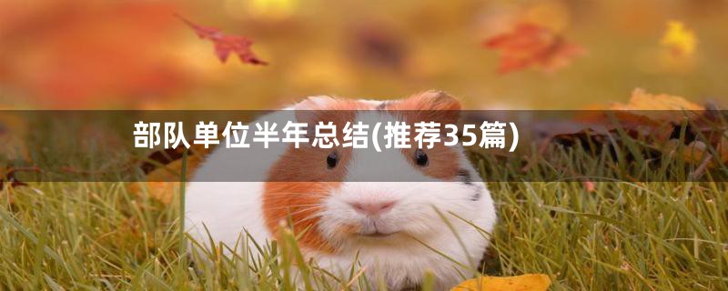 部队单位半年总结(推荐35篇)