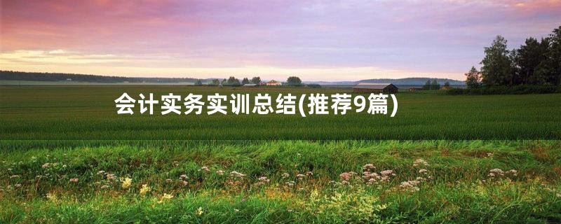 会计实务实训总结(推荐9篇)
