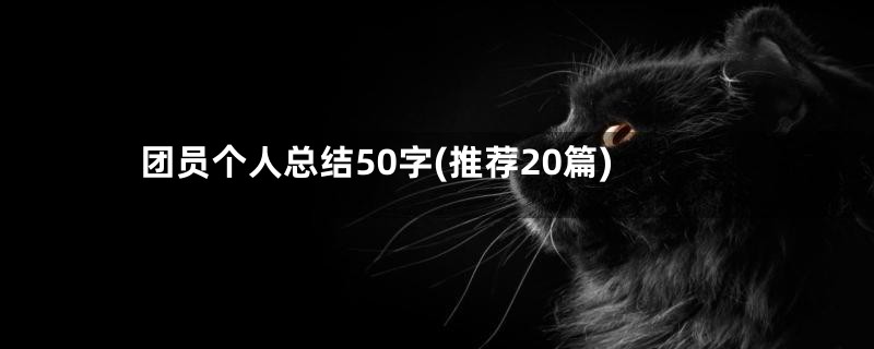 团员个人总结50字(推荐20篇)
