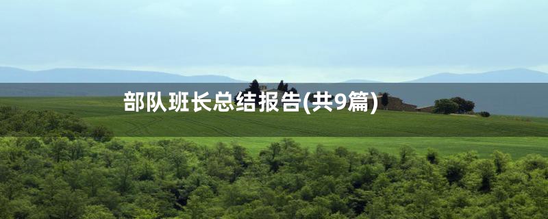 部队班长总结报告(共9篇)