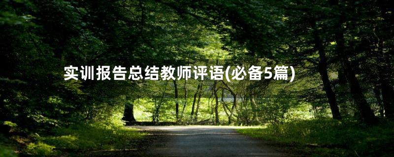 实训报告总结教师评语(必备5篇)
