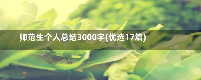 师范生个人总结3000字(优选17篇)
