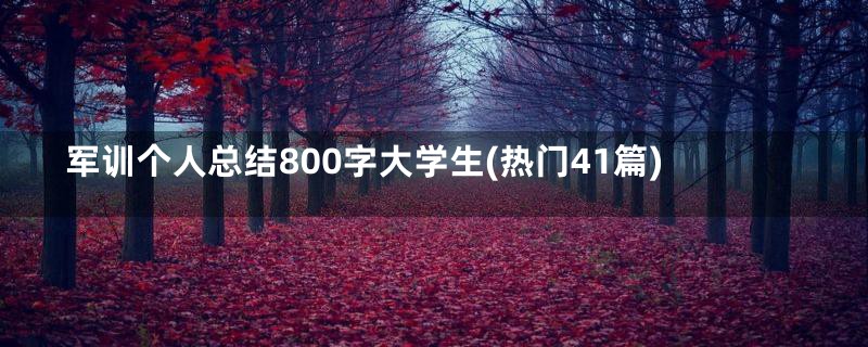 军训个人总结800字大学生(热门41篇)