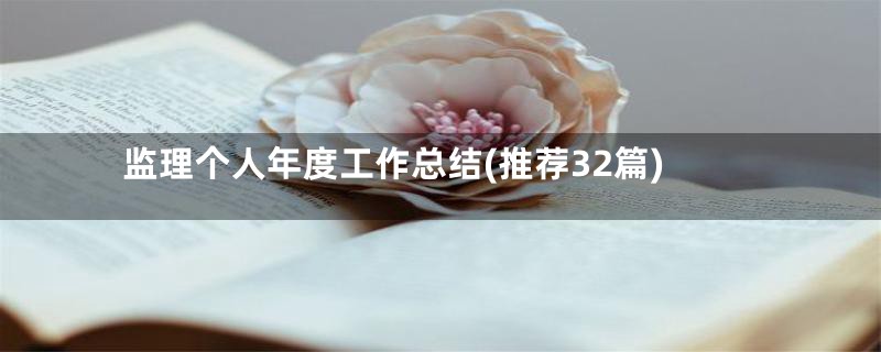 监理个人年度工作总结(推荐32篇)