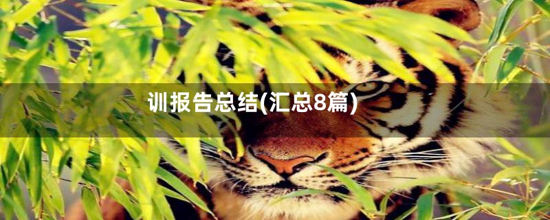 训报告总结(汇总8篇)