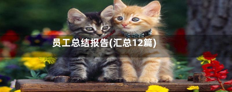 员工总结报告(汇总12篇)