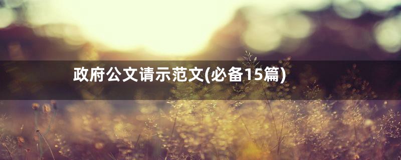 政府公文请示范文(必备15篇)