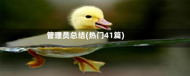 管理员总结(热门41篇)