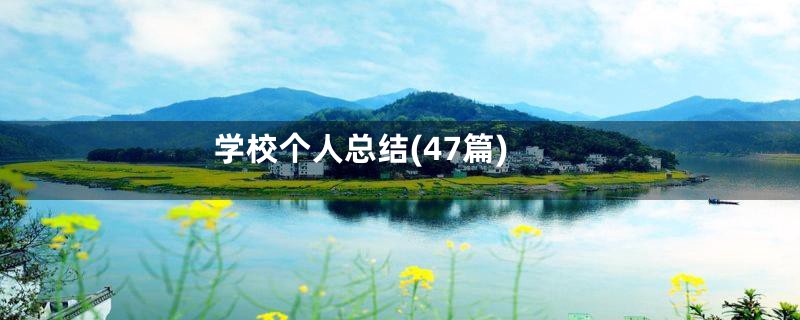 学校个人总结(47篇)
