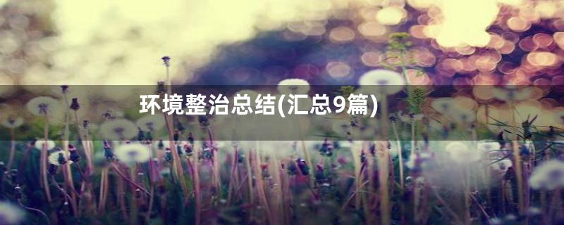 环境整治总结(汇总9篇)