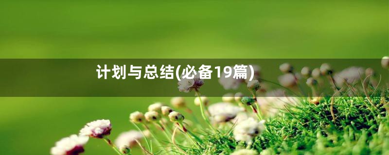 计划与总结(必备19篇)