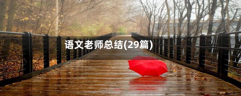语文老师总结(29篇)