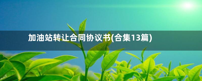 加油站转让合同协议书(合集13篇)