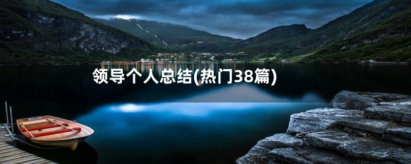 领导个人总结(热门38篇)