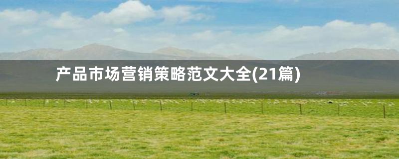 产品市场营销策略范文大全(21篇)