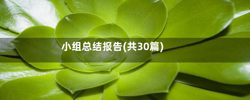 小组总结报告(共30篇)