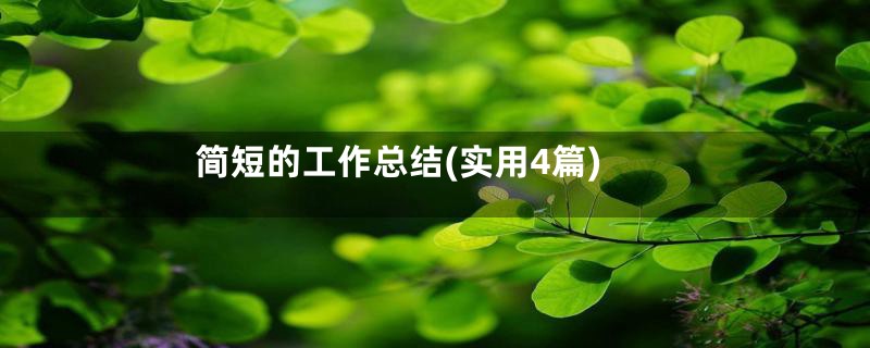 简短的工作总结(实用4篇)