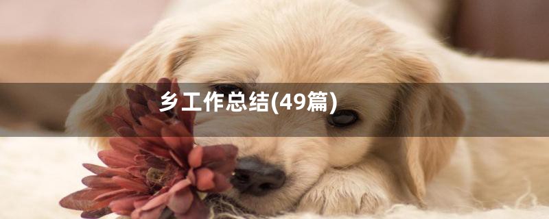 乡工作总结(49篇)