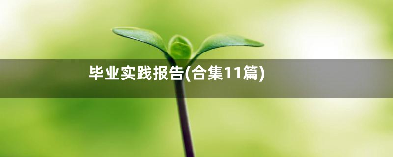 毕业实践报告(合集11篇)