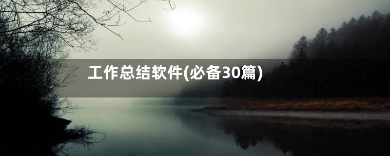 工作总结软件(必备30篇)