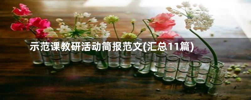 示范课教研活动简报范文(汇总11篇)
