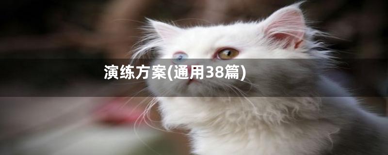 演练方案(通用38篇)