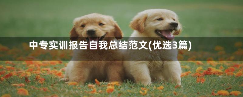 中专实训报告自我总结范文(优选3篇)