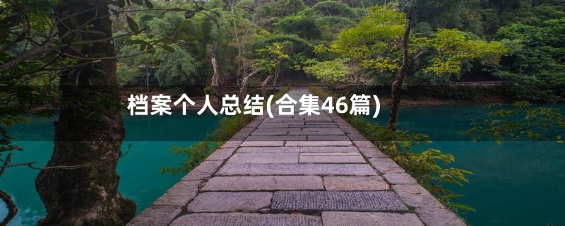 档案个人总结(合集46篇)