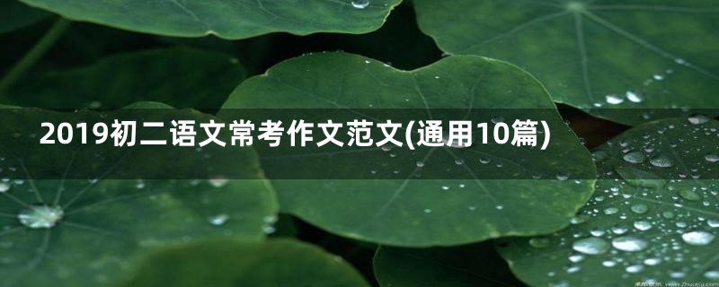 2019初二语文常考作文范文(通用10篇)