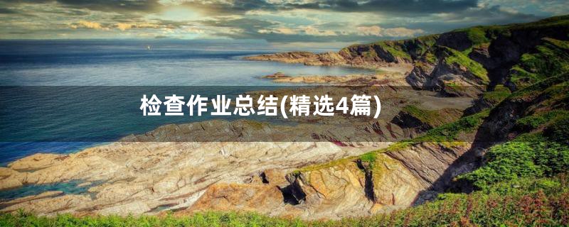 检查作业总结(精选4篇)