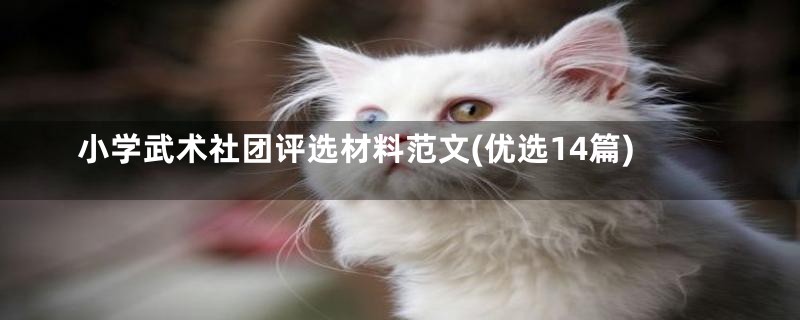 小学武术社团评选材料范文(优选14篇)
