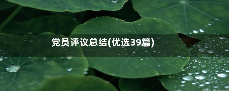 党员评议总结(优选39篇)