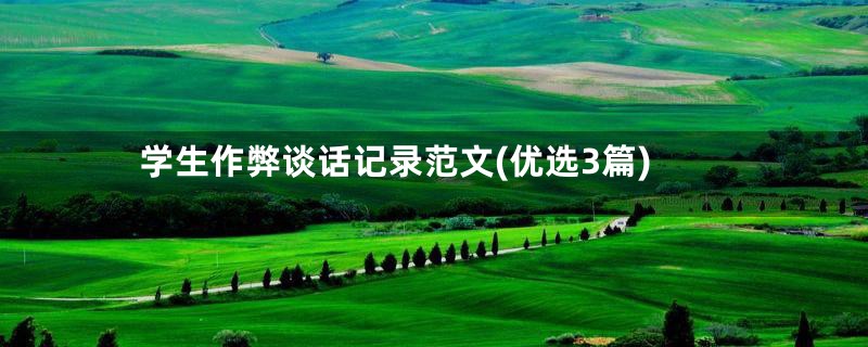 学生作弊谈话记录范文(优选3篇)