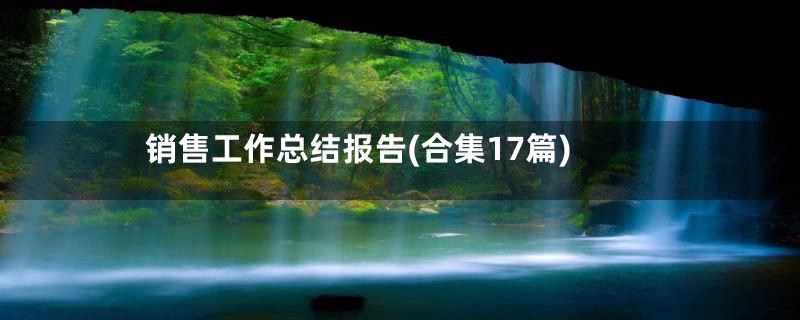 销售工作总结报告(合集17篇)