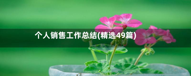 个人销售工作总结(精选49篇)