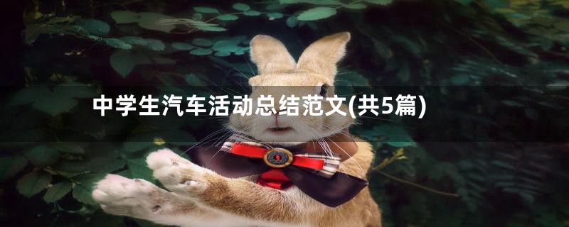 中学生汽车活动总结范文(共5篇)