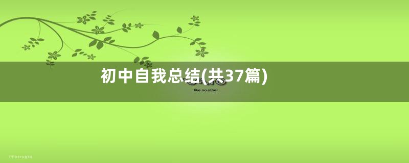 初中自我总结(共37篇)