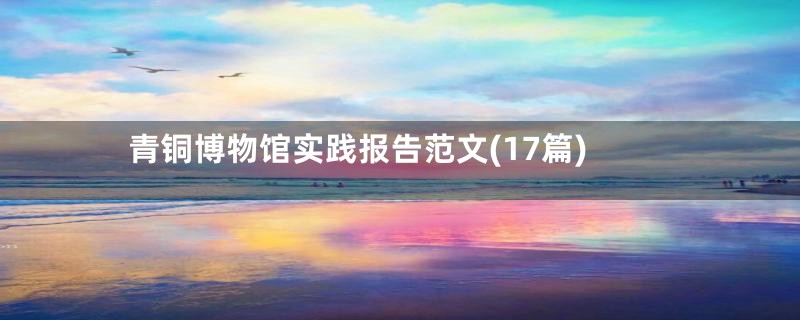 青铜博物馆实践报告范文(17篇)