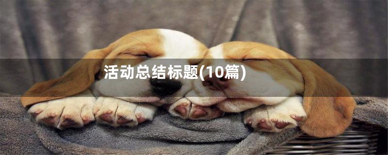 活动总结标题(10篇)
