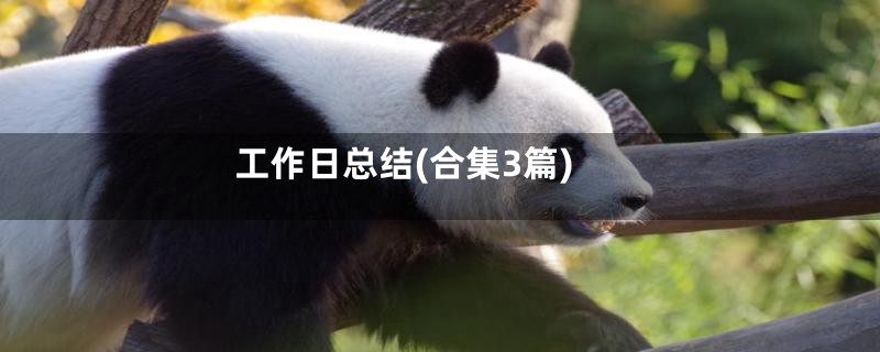 工作日总结(合集3篇)