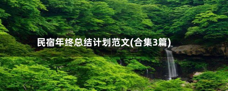 民宿年终总结计划范文(合集3篇)