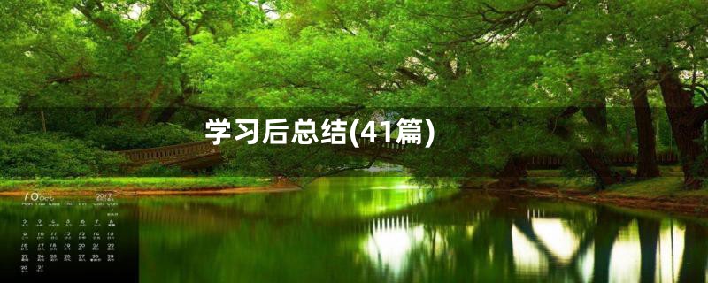 学习后总结(41篇)